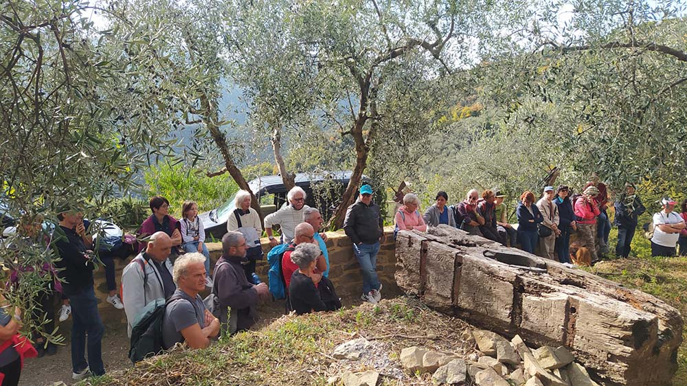 Camminata tra gli olivi 2021 a Bajardo: punto di ritrovo